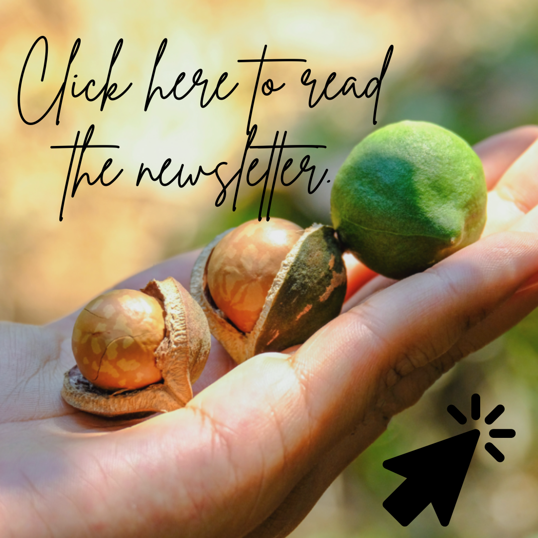 Click here to read the newsletter.-2